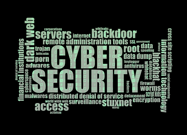 https://www.bardi.cz/ani-internet-se-neubrani-utokum/problémy internetu/